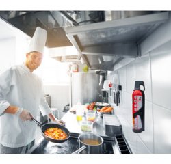 REINOLD MAX Spray extincteur 'STOP FIRE', 3 x 750 ml