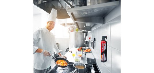 REINOLD MAX Spray extincteur 'STOP FIRE', 3 x 750 ml