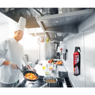 REINOLD MAX Spray extincteur 'STOP FIRE', contenu: 3 x 750 g