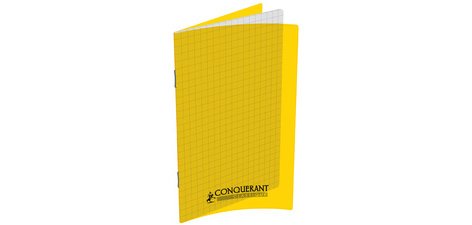 Notitieboekje geniet 110 x 170 mm geruit - geel