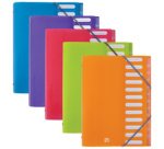 Sortiermappe 'ELBA School Life', 12 Fächer, A4, PP