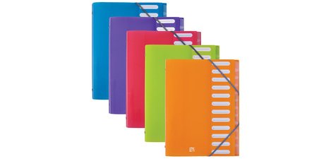 'ELBA School Life' sorter, 8 sections, A4, PP