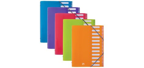 Sortiermappe 'ELBA School Life', 12 Fächer, A4, PP