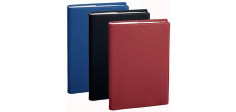 Quo Vadis - Agenda année scolaire - 2026-2027 - Eu 09/09 - Semainier Planning - Français - Impala - Noir - 13 mois de août à août - 21x29,7 cm