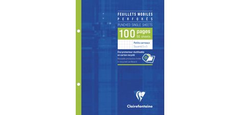 Perforated loose-leaf sheets, 170 x 220 mm