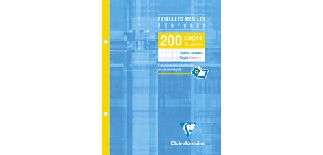 Feuillets mobiles, A4, séyès, 200 pages