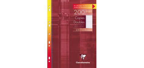 Punched double sheets, A4, 5x5, with margin