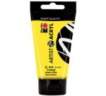 Set de peinture acrylique 'Artist Acryl', 12 x 22 ml