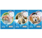 cahier au format A4, linéature 2 / ligné, 16 feuiles