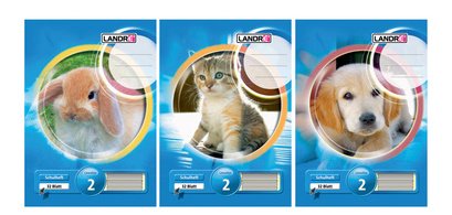 cahier au format A4, linéature 2 / ligné, 16 feuiles