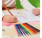 BIC KIDS Crayons de couleur Evolution ecolutions, boîte en