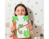 Gb_bic classpack 248+40 feutvisa ass 897099