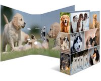 Classeur à levier à motifs 'Animals', A4, chiens