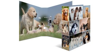 Classeur à levier à motifs 'Animals', A4, chiens