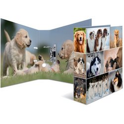 Classeur à levier à motifs 'Animals', A4, chiens