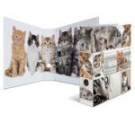Classeur à levier à motifs 'Animals', A4, chats