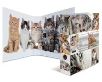 Classeur à levier à motifs 'Animals', A4, chats