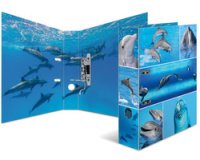 Classeur à levier à motifs 'Animals', A4, dauphins