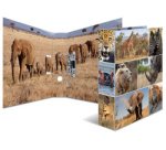 Classeur à levier 'Animals', A4, animaux d'Afrique