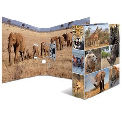 Classeur à levier 'Animals', A4, animaux d'Afrique