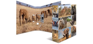 Classeur à levier 'Animals', A4, animaux d'Afrique