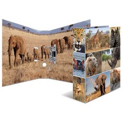 Classeur à levier 'Animals', A4, animaux d'Afrique