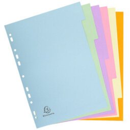 Register aus Recyclingkarton 170g, 10 neutrale Taben, für Format DIN A4, Forever, Pastell - Farben sortiert