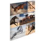 Chemise à élastiques 'chevaux', carton, A3