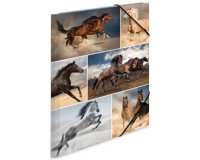 Map met elastieken 'paarden' in karton A3