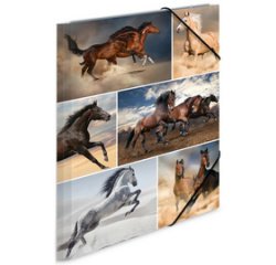 Chemise à élastiques 'chevaux', carton, A3