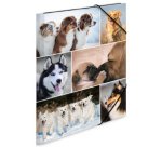 Chemise à élastiques 'chiens', carton, A3