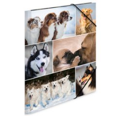 Chemise à élastiques 'chiens', carton, A3