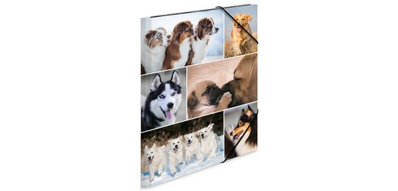 Map met elastieken 'honden' in karton A3