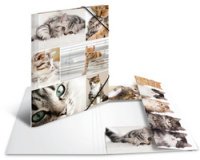 Map met elastieken 'katten' in karton A3