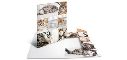 Chemise à élastiques 'chats', carton, A3