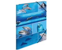 Map met elastieken 'dolfijnen' in karton A3