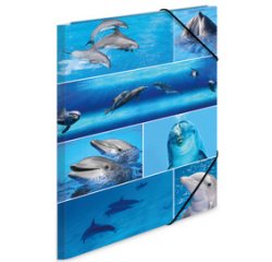 Chemise à élastiques 'dauphins', carton, A3