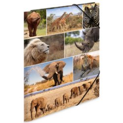 Chemise à élastiques 'animaux d'Afrique', carton, A3