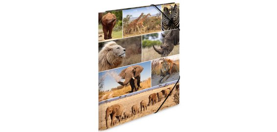 Chemise à élastiques 'animaux d'Afrique', carton, A3