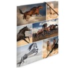 Chemise à élastiques 'Chevaux', en carton, A4