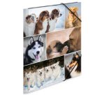 Chemise à élastiques 'chiens', en carton,