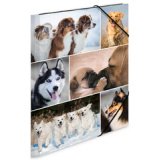 Chemise à élastiques 'chiens', en carton,