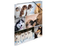 Chemise à élastiques 'chiens', en carton,