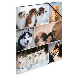 Chemise à élastiques 'chiens', en carton,
