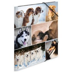 Chemise à élastiques 'chiens', en carton,