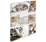 Chemise à élastiques 'chats', en carton,