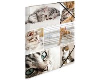 Chemise à élastiques 'chats', en carton,