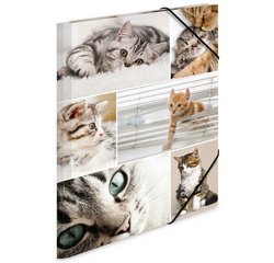 Chemise à élastiques 'chats', en carton,