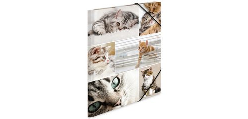 Elastic band file folder 'cats', cardboard,