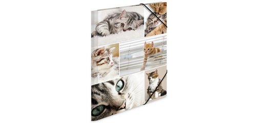 Chemise à élastiques 'chats', en carton,